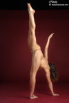 naked stretching flexible female bodies